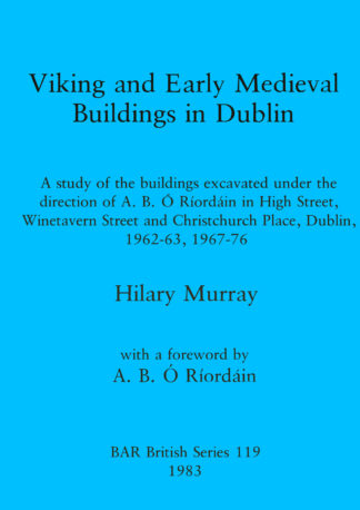 Viking and early medieval buildings in Dublin cover