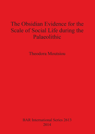 Obsidian Evidence for the Scale of Social Life During the Palaeolithic cover