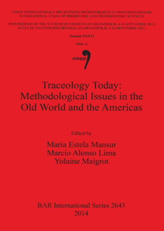 Traceology Today: Methodological Issues in the Old World and the Americas cover