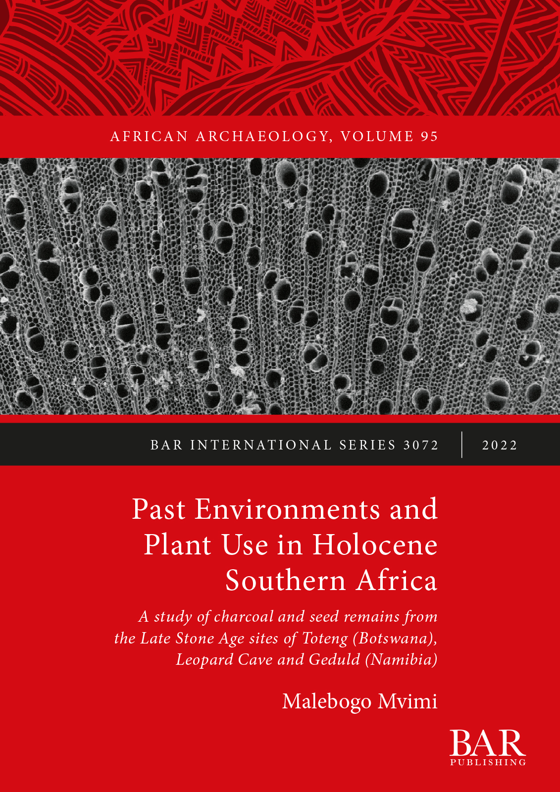 Past Environments and Plant Use in Holocene Southern Africa cover